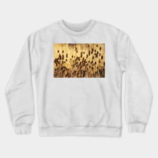 Golden Teasel Crewneck Sweatshirt